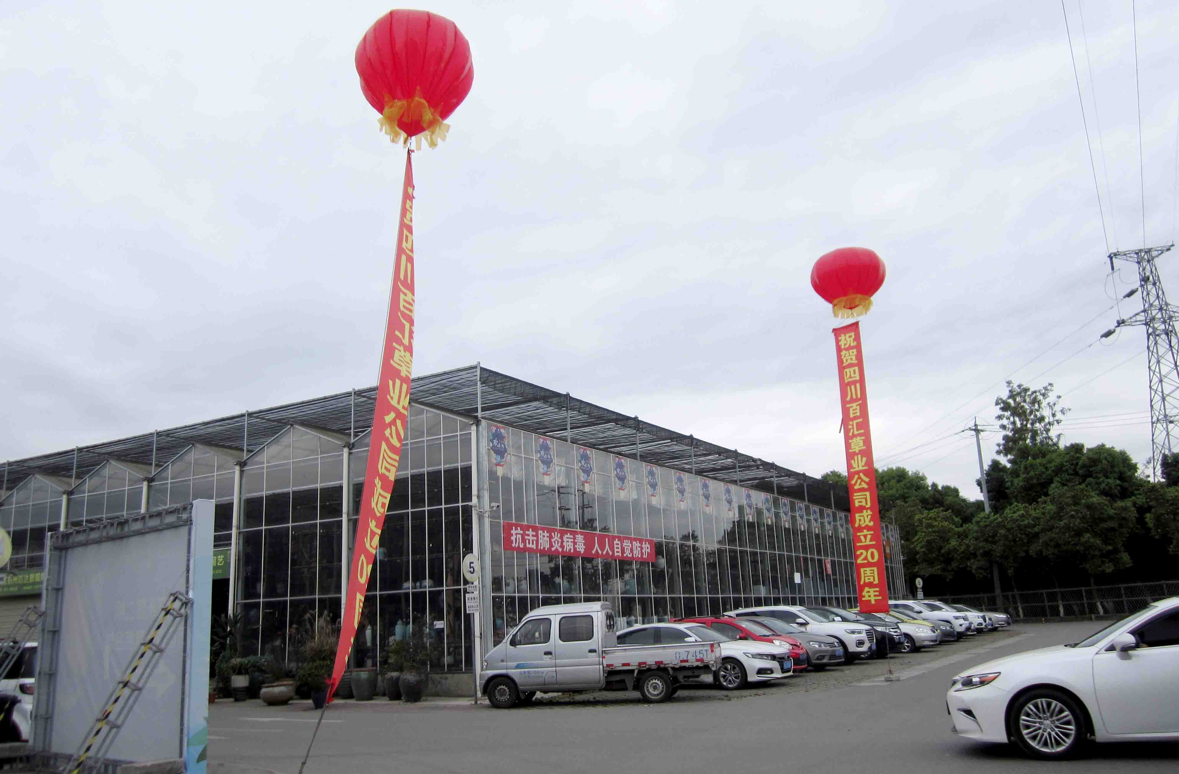 四川格?；ǚN子